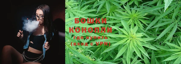 PSILOCYBIN Верхний Тагил