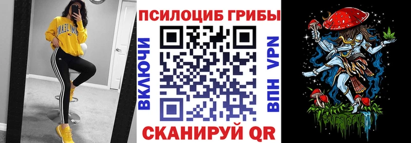 где можно купить   KRAKEN сайт  Псилоцибиновые грибы GOLDEN TEACHER  Калининск 